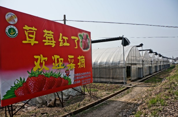 圖片關(guān)鍵詞