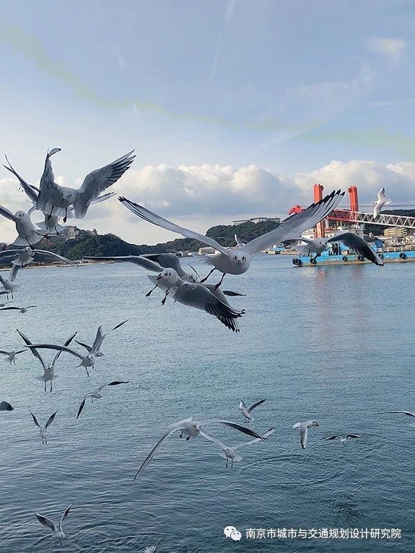 1581304353225959.jpg 18.jpg